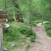 wanderweg nr schnals am gerstgraserberg wegweiser