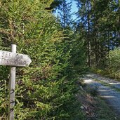 forstweg zu puntleider seealm