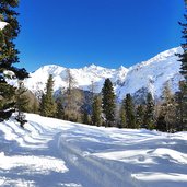 weg nr lyfialm nach enzianalm martelltal winter