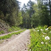 weg a kiens nach lothen und sonnenburg