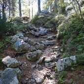 pfad von puntleider seealm zu puntleider see