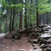 wanderweg und forststrasse pfandleralm