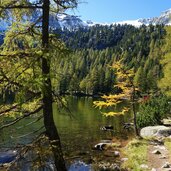 puntleider see herbst naturdenkmal fr