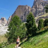 weg unter dem rosengarten