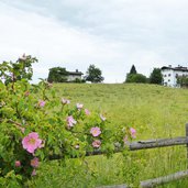 k weg bei deutschnofen