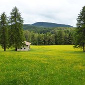 wiesen bei woelflhof