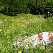 weg nr kematen zum schluesseljoch