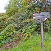 wanderwege wegweiser bei kollmann