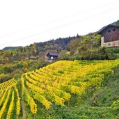 weinhaenge bei kollmann kaiserweg