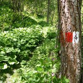 weg nr kematen zum schluesseljoch