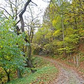 weg nr kollmann nach st verena