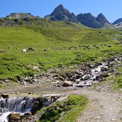 oberes burgumer tal bei talschluss almwiesen fr