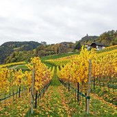 weingut bei kernstocker und voelklhof