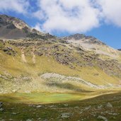 zugewachsener see bei rabbijoch