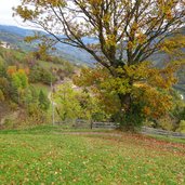 weg b richtung st verena blick richtung voelklhof