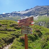 burgumer alm weg nr aufstieg zur sterzinger huette wegweiser