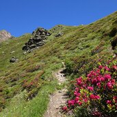 burgumer alm weg nr aufstieg zur sterzinger huette