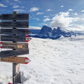 seiser alm winter puflatsch langkofel plattkofel