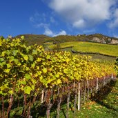 steig von steg nach siffian bei weinberge