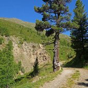 weg nr inneres matschertal