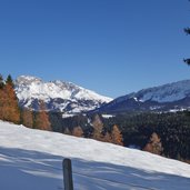 blick auf latmar und zanggenberg ab neuhuett