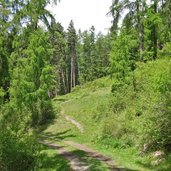 forststrasse weg nr tanas eyrs