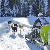 hundeschlitten bei nemesalm sexten winter