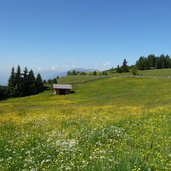 rodenecker alm wiesen nahe roner huette