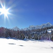 wiesenlichtung und sicht auf sextner dolomiten rotwand