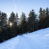 am schoepfungsweg wald