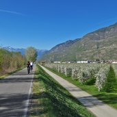 etschtal radweg bei terlan