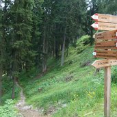 dolomieu almenweg wald