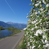 etschtal radweg bei vilpian