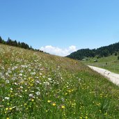 weg nr richtung astjoch rodenecker alm