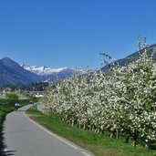 etschtal radweg bei sinich meran