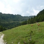 viehweide bei vallming almen