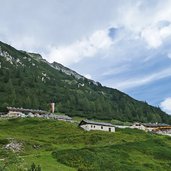 vallming almen