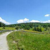 almweg confinweg rodenecker alm