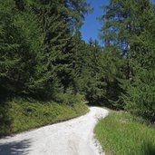 forstweg goeflaner alm