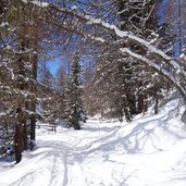 weg weissbrunn ulten winter