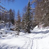 abzweigung fischersee weissbrunn winter