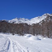 winter weissbrunn tal ulten weg