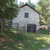 kohlplaetzen bei goeflaner alm