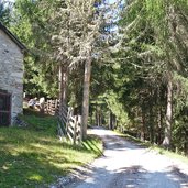 kohlplaetzen bei goeflaner alm