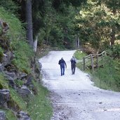 forstweg goeflaner alm wanderer