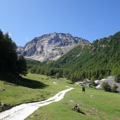 wiesen goeflaner alm dahinter jennwand