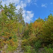 weg von voelser ried nach st konstantin