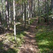 weg von voelser ried nach st konstantin