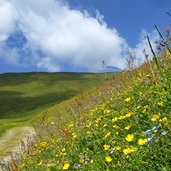 weg von zassleralm richtung weissenalm