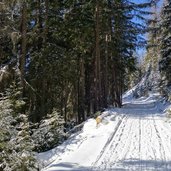 forstweg zur weizgruber alm